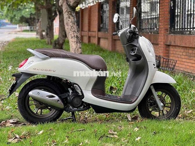 Cần bán xe scoopy xe nhập như hình