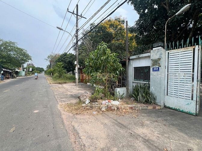  Cho Thuê Nhà Biệt Thự Sân Vườn Thoáng Mát 5 Phòng Ngủ DT 1250m2