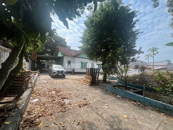  Cho Thuê Nhà Biệt Thự Sân Vườn Thoáng Mát 5 Phòng Ngủ DT 1250m2