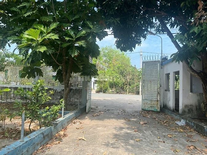  Cho Thuê Nhà Biệt Thự Sân Vườn Thoáng Mát 5 Phòng Ngủ DT 1250m2