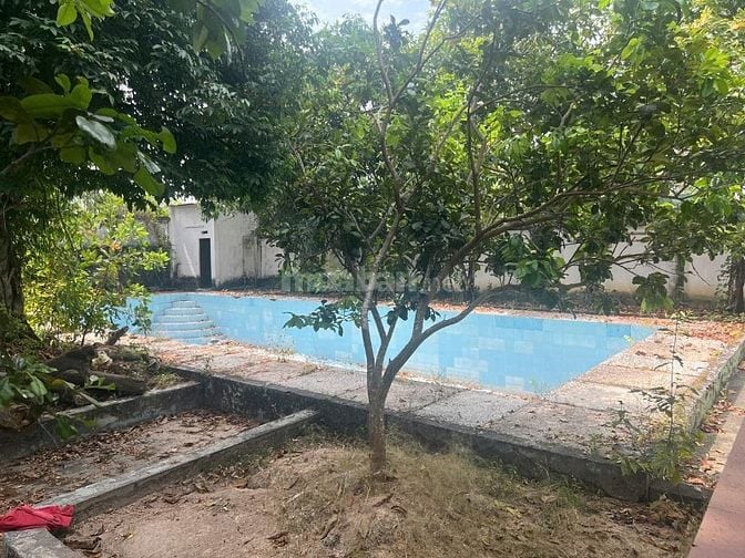  Cho Thuê Nhà Biệt Thự Sân Vườn Thoáng Mát 5 Phòng Ngủ DT 1250m2