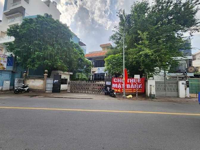 Cho thuê nguyên căn toà nhà 135 Nguyễn Văn Đậu