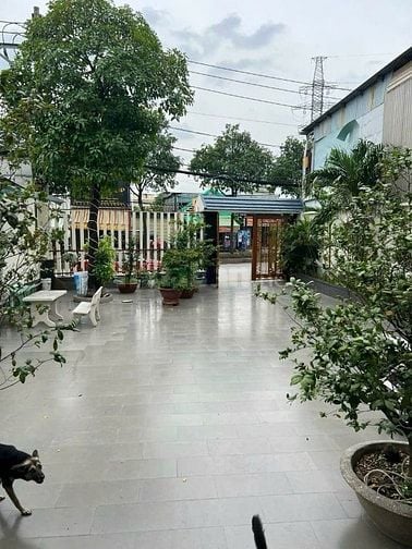 Bán Biệt Thự Mặt Tiền đường gần trường CĐ Công Thương diện tích: 340m2