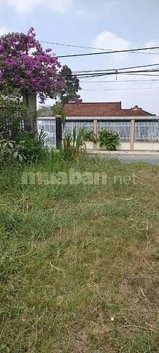 Bán lô đất ở đường Nguyễn Trọng Cát, Trảng Bàng, Tây Ninh,Giá: 580tr