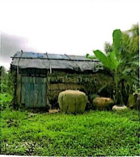 THÔNG BÁO ĐẤU GIÁ TÀI SẢN THEO THỦ TỤC RÚT GỌN