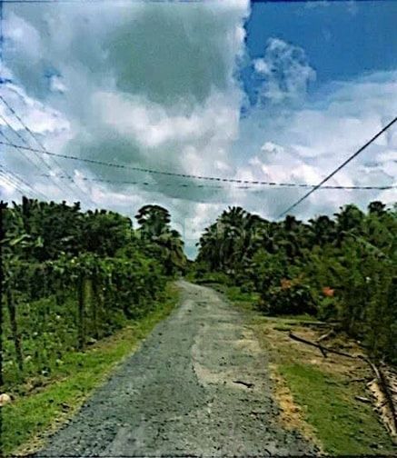 THÔNG BÁO ĐẤU GIÁ TÀI SẢN THEO THỦ TỤC RÚT GỌN