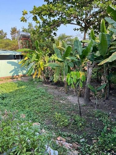 Bán lô đất 150m2 (10x15m) hẻm 153 Đường Nam Cao, P.Tân Phú, TP Thủ Đức