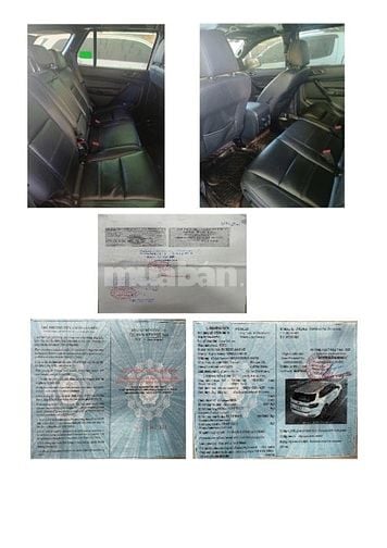 TĐ Lộc Trời thanh lý 43 xe ô tô