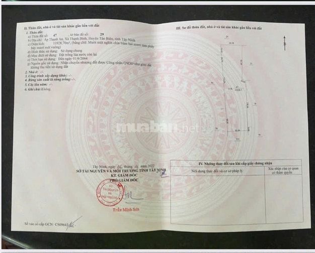 Bán gấp 3 mẫu đất xã Thạnh Bình, Tân Biên, Tây Ninh, khu trung tâm