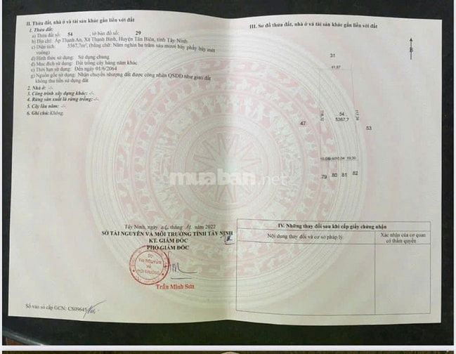 Bán gấp 3 mẫu đất xã Thạnh Bình, Tân Biên, Tây Ninh, khu trung tâm