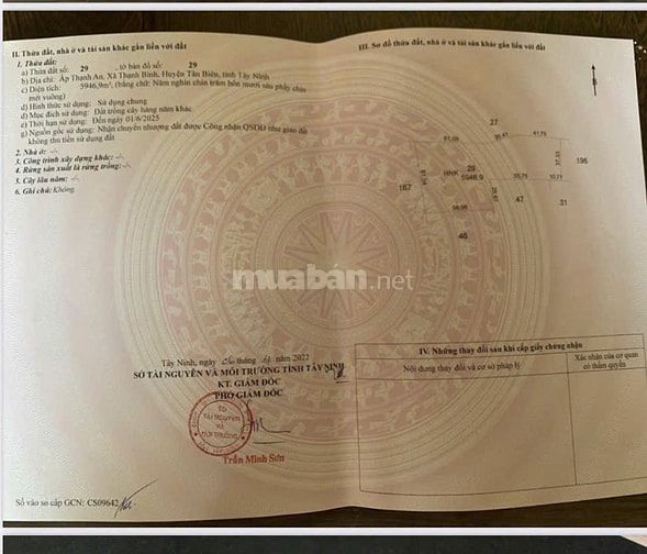 Bán gấp 3 mẫu đất xã Thạnh Bình, Tân Biên, Tây Ninh, khu trung tâm
