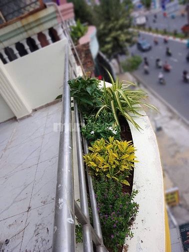 CHDV cao cấp mặt tiền đường Cộng Hoà