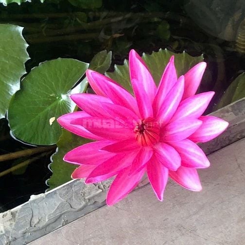 Cần người phụ bán làm thêm tại tiệm Quận Tân Bình 