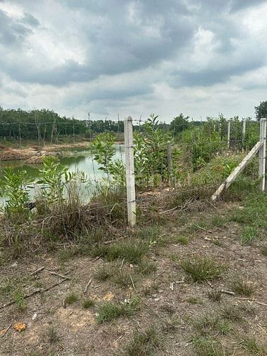 Bán gấp 3 mẫu đất xã Thạnh Bình, Tân Biên, Tây Ninh, khu trung tâm