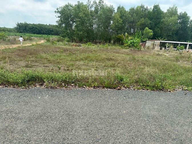 Bán gấp 3 mẫu đất xã Thạnh Bình, Tân Biên, Tây Ninh, khu trung tâm