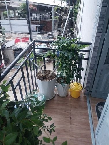 chính chủ bán nhà linh tây thủ đức 