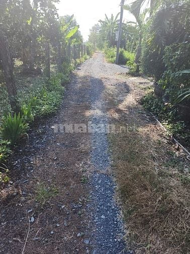 BÁN ĐẤT THỔ CƯ 221m2 (5x44) TẠI LONG SƠN, CẦN ĐƯỚC