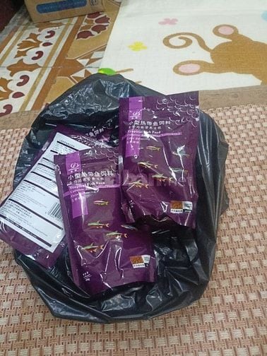 Các loại cá cảnh thủy sinh đẹp, thức ăn cho cá 