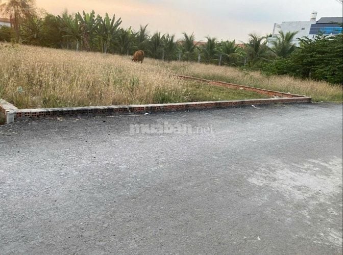 CHÍNH CHỦ cần bán gấp lô đất tại đường 29, Hóc Môn, 1,8 tỷ, 100m2