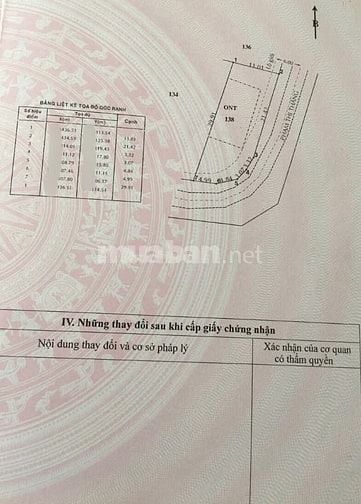LÔ GỐC 2MT ĐƯỜNG NHỰA SHR CÁCH QL22 CHỈ 700M GIÁ NGỘP 980 TRIỆU