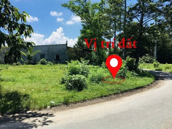 LÔ GỐC 2MT ĐƯỜNG NHỰA SHR CÁCH QL22 CHỈ 700M GIÁ NGỘP 980 TRIỆU