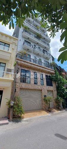 HÀNG SIÊU VIP BA ĐÌNH, VỊ TRÍ ĐẤT VÀNG CỰC HIẾM NHÀ BÁN