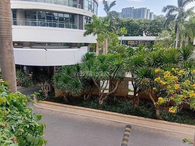 Cho phụ nữ độc thân đi làm thuê phòng có bancony