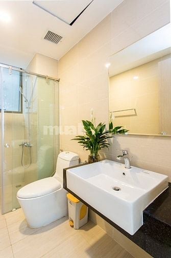 Bán căn hộ chung cư Phúc Thịnh, Quận 5,  90m2,3PN, 4 tỷ 50, có sổ hồng