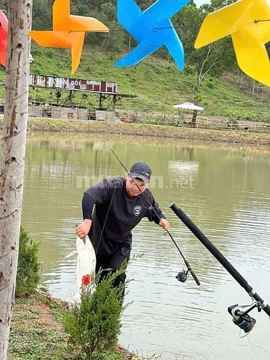 Bán đất Đang Kinh Doanh Buôn Bán ấp Bàu Chim, Xã Phú Xuân, Tân Phú ĐN