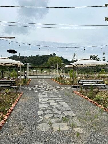 Bán đất Đang Kinh Doanh Buôn Bán ấp Bàu Chim, Xã Phú Xuân, Tân Phú ĐN