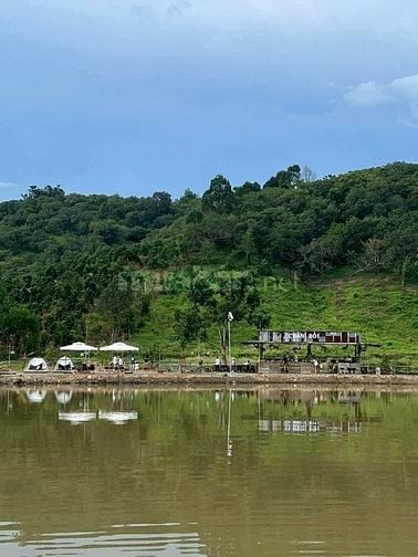 Bán đất Đang Kinh Doanh Buôn Bán ấp Bàu Chim, Xã Phú Xuân, Tân Phú ĐN