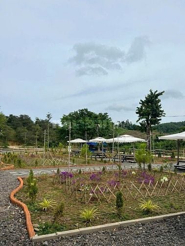 Bán đất Đang Kinh Doanh Buôn Bán ấp Bàu Chim, Xã Phú Xuân, Tân Phú ĐN