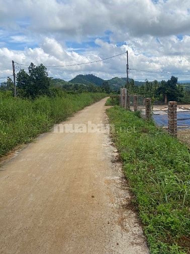CTY ĐẤU GIÁ HỢP DANH TRỰC TUYẾN VIỆT NAM (VNOA) TỔ CHỨC ĐẤU GIÁ