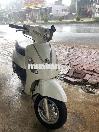 xe attila trắng biển phố