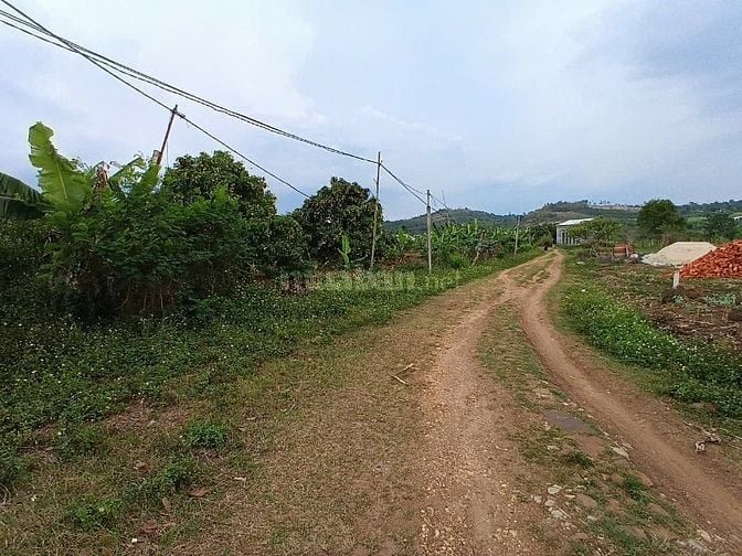 SỔ ĐỎ CHÍNH CHỦ,CHƯA QUA ĐẦU TƯ NGUỒN NGỘP. XÃ PHÚ XUÂN, HUYỆN KRONG 