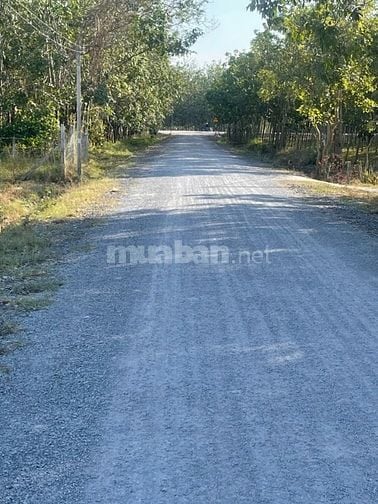 Đất chính chủ, mặt tiền 25m đường oto, Long Vĩnh Châu Thành. 