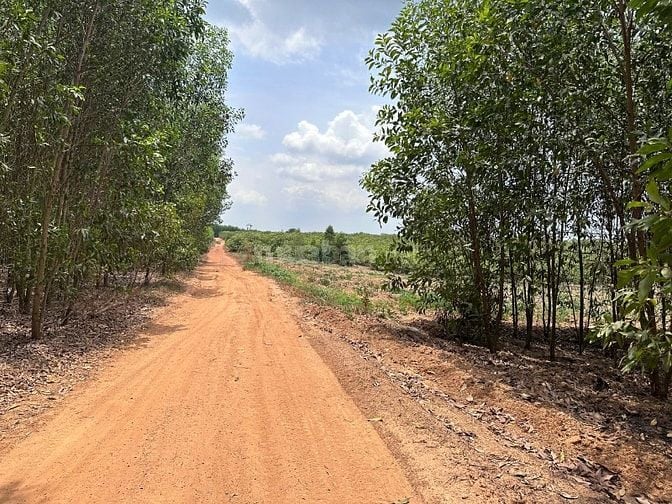 60tr/1000m2 Đất Tại Phú Ngọc, Định Quán