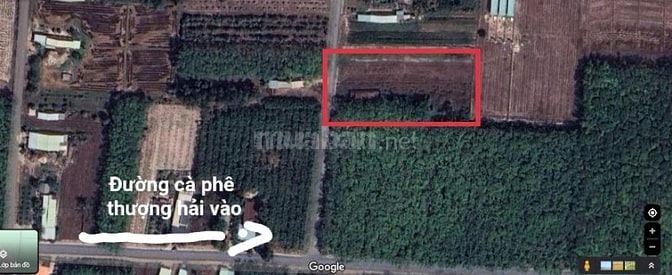 Đất chính chủ, mặt tiền 25m đường oto, Long Vĩnh Châu Thành. 