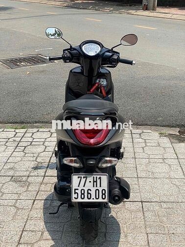 🌈 Janus 2023 Zin Êm Đẹp Như Mới Góp Bao Đậu