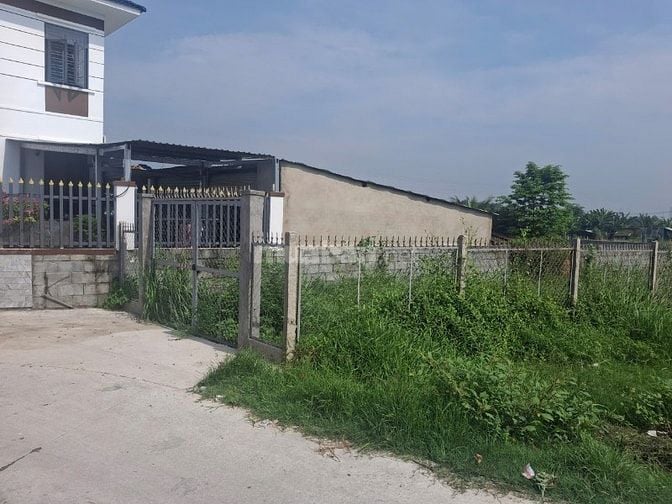 CHÍNH CHỦ BÁN ĐẤT THỔ CƯ XÃ TÂN AN HỘI, CỦ CHI, PHÁP LÝ RÕ RÀNG