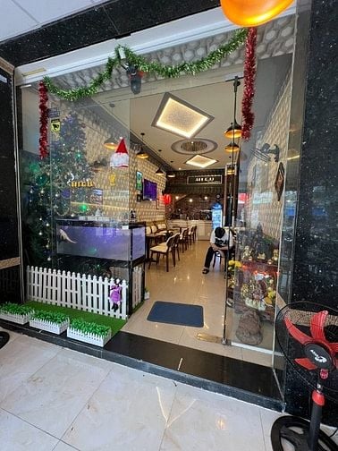 Cần sang lại toàn bộ quán cafe  Ngay mặt tiền Lý Chiêu Hoàng, cạnh chu