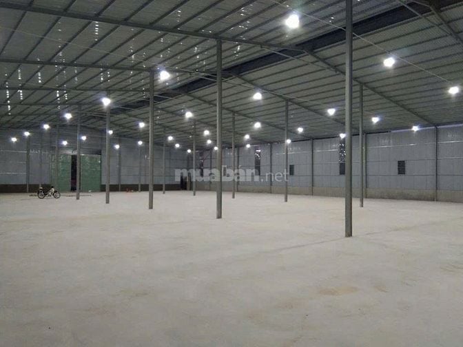 🏭 Thanh Trì – Cho thuê kho chung/kho riêng gần KCN Ngọc Hồi