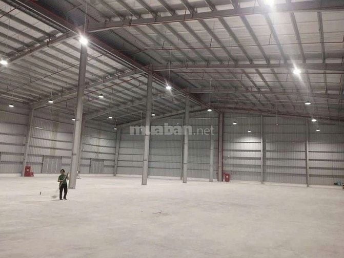 🏭 Thanh Trì – Cho thuê kho chung/kho riêng gần KCN Ngọc Hồi