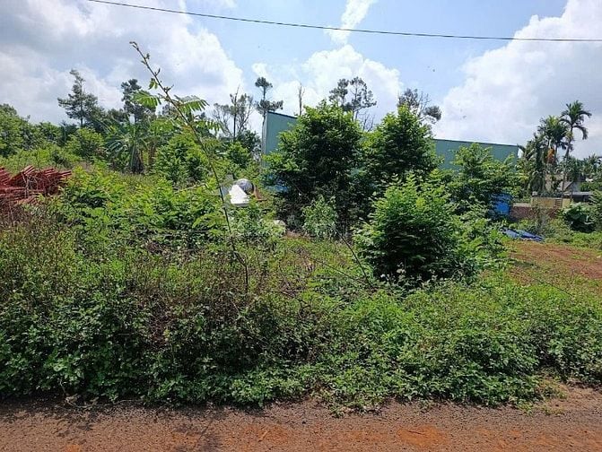 Cần bán lô đất mặt tiền đường nhựa xã Hòa Thắng, Tp. Buôn Ma Thuột.