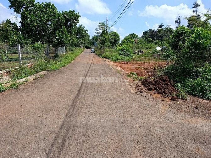 Cần bán lô đất mặt tiền đường nhựa xã Hòa Thắng, Tp. Buôn Ma Thuột.