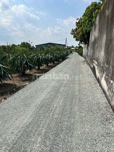 Bán lô đất ở xã Hiệp Thạnh, Châu Thành, Long An, gần chợ Tầm Du, 9x22m