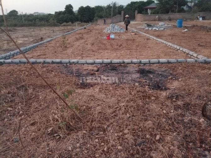 Đất vàng Chũ Bắc Giang - 220M2 giá 580 triệu, vị trí đắc địa.
