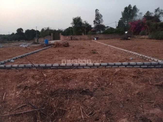 Đất vàng Chũ Bắc Giang - 220M2 giá 580 triệu, vị trí đắc địa.