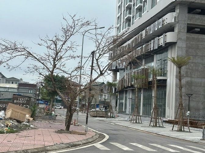 Bán Lô Biệt Thự Vip khu Cao Xanh_Khánh Hà A,Hạ Long,Quảng Ninh