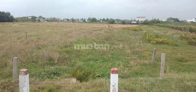 Cần bán 250m2 đất thổ cư mặt tiền đường 16m tại thị trấn Tân Trụ